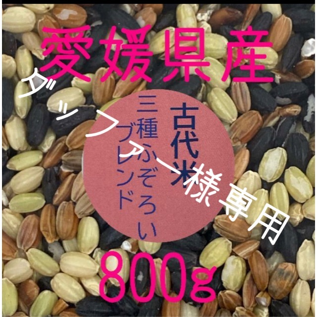 ダッファー様専用　古代米3種ふぞろいブレンド　愛媛県産　800ｇ 食品/飲料/酒の食品(米/穀物)の商品写真