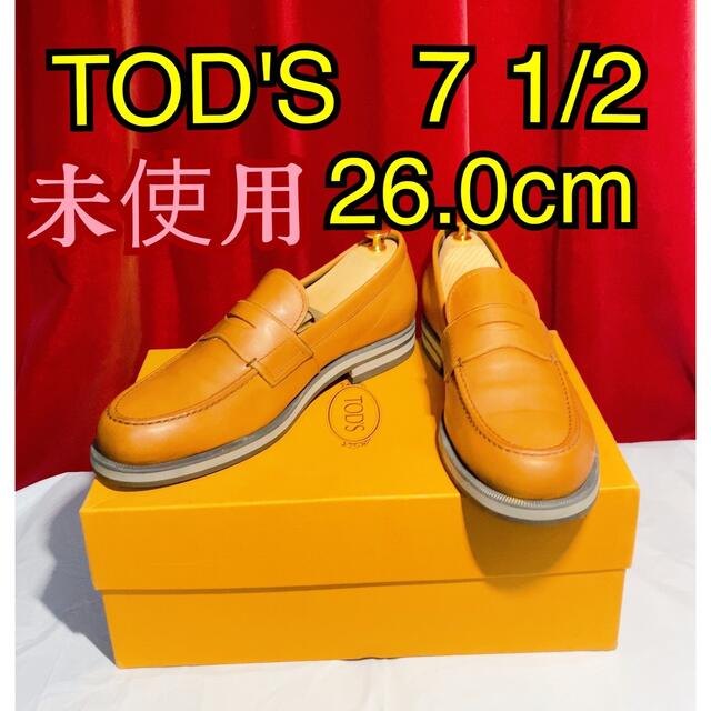 TOD'S(トッズ)の【未使用】ドッズ コイン ローファー  薄茶 シューツリー 付 メンズの靴/シューズ(スリッポン/モカシン)の商品写真