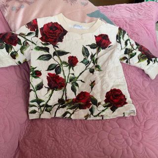 ドルチェアンドガッバーナ(DOLCE&GABBANA)のDOLCE&GABBANAドルガバキッズ⭐️トレーナー　110〜120(Tシャツ/カットソー)