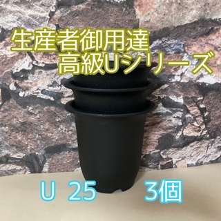 【Ｕ25】◎3個◎ 高級 プラ鉢 2.5号 U-25 硬質 丸鉢 ミニ鉢(プランター)