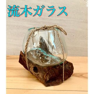 流木ガラス　吹きガラス　アクアリウム　花瓶　メダカ　金魚　ベタ　バリ島テラリウム(花瓶)