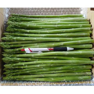 細アスパラガス 1kg 産地直送(野菜)