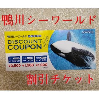 鴨川シーワールド　入館割引券 1枚(水族館)