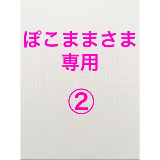 日能研　公開模試 エンタメ/ホビーの本(語学/参考書)の商品写真