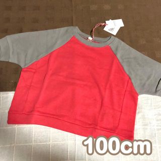 シマムラ(しまむら)のトレーナー★100cm 女の子＊ 赤✕茶(Tシャツ/カットソー)