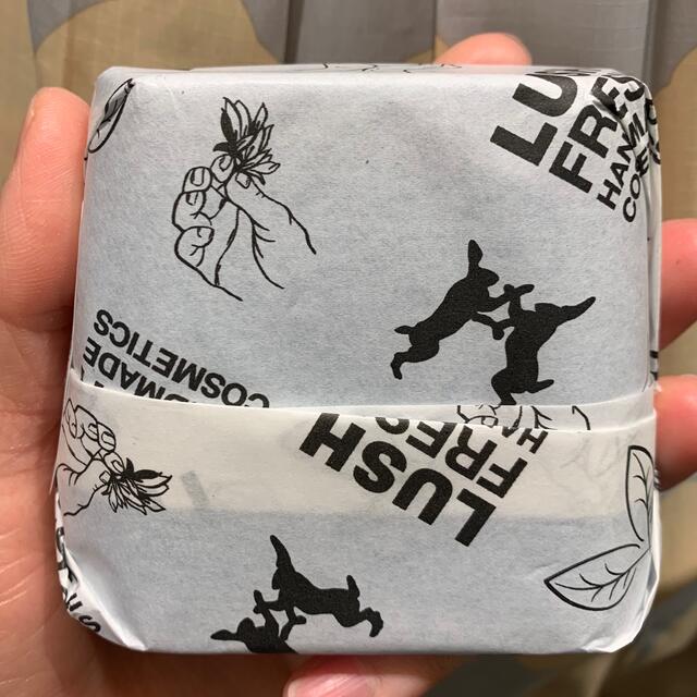 LUSH(ラッシュ)のLUSH アウトバックメイト コスメ/美容のボディケア(ボディソープ/石鹸)の商品写真