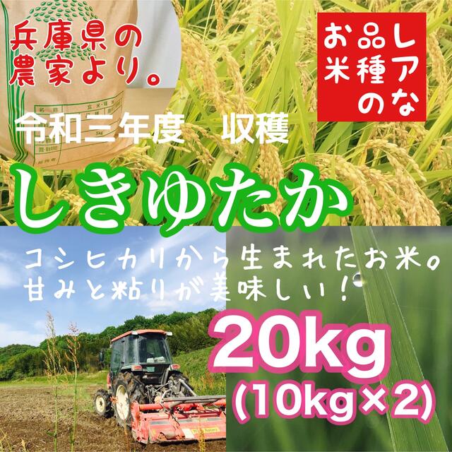 かさいファームのお米20kgリピ買いしたくなる?! 農家のレア品種米 兵庫県産シキユタカ  20kg