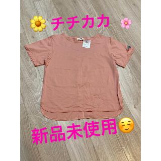 チチカカ(titicaca)の【未使用】チチカカ　刺繍入り半袖Tシャツ(Tシャツ(半袖/袖なし))