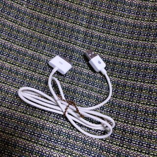アップル(Apple)のApple 純正 30pin ケーブル(バッテリー/充電器)