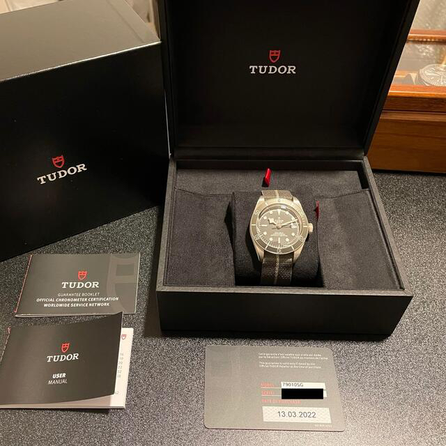 Tudor チューダー ブラックベイ 58 925 シルバー