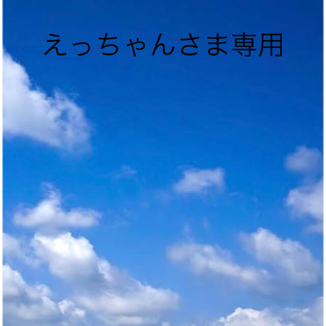 えっちゃんさま専用 | www.centroaip.it