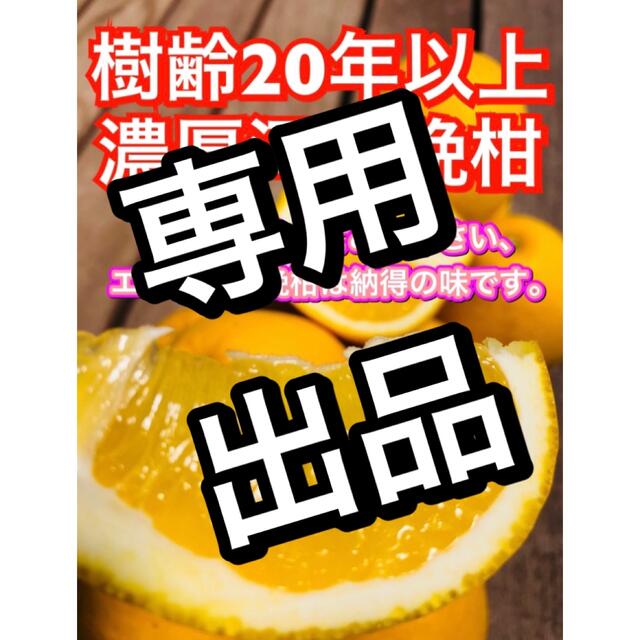 フェアリーシャワー様専用 食品/飲料/酒の食品(フルーツ)の商品写真