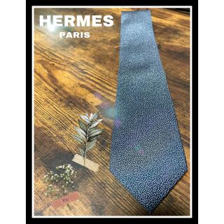 エルメス(Hermes)の【稀少】HERMES ネクタイ(ネクタイ)