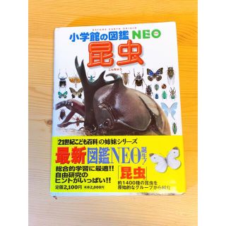 ショウガクカン(小学館)の小学館の図鑑 NEO  昆虫(絵本/児童書)