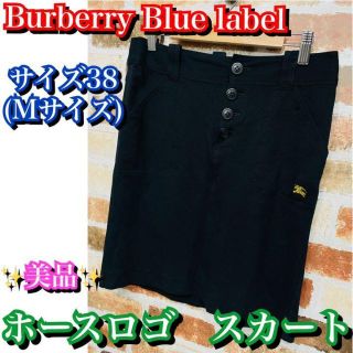 バーバリーブルーレーベル(BURBERRY BLUE LABEL)の美品✨Burberry Blue label スカート　サイズ38  ブラック(ひざ丈スカート)