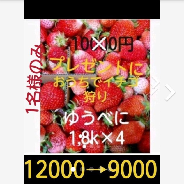 ❤ゴールデンウィーク価格幸せの箱満杯❤規格外イチゴバラ詰　ゆうべに1.8k×4箱食品