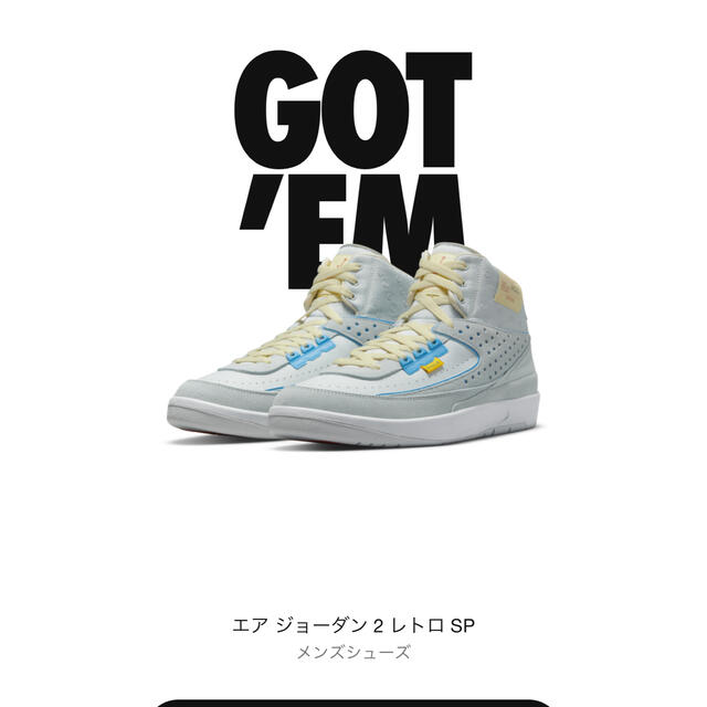 限定アクセス　NIKE x Union エアジョーダン2   26,0