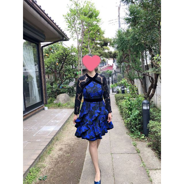 TADASHI SHOJI(タダシショウジ)の極美品 2 Tadashi Shoji タダシショージ BL24732LN レディースのワンピース(ひざ丈ワンピース)の商品写真