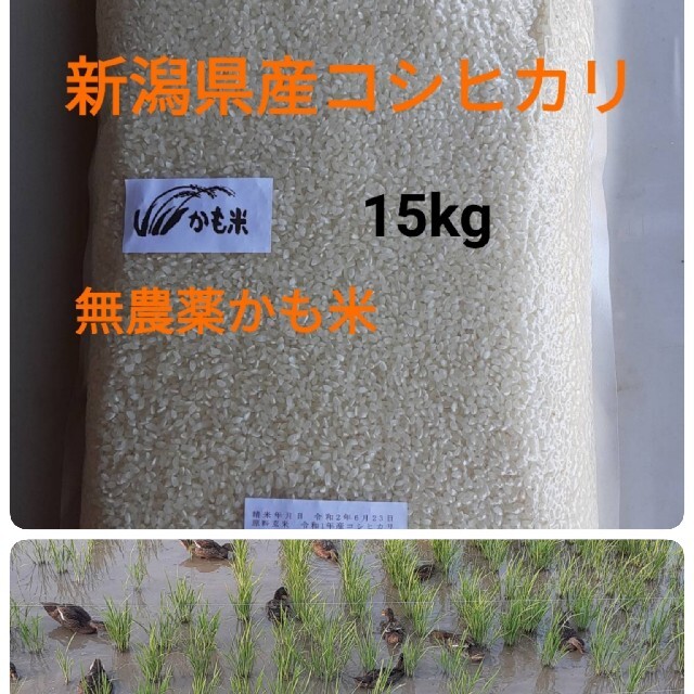 無農薬米新潟県産コシヒカリ15k