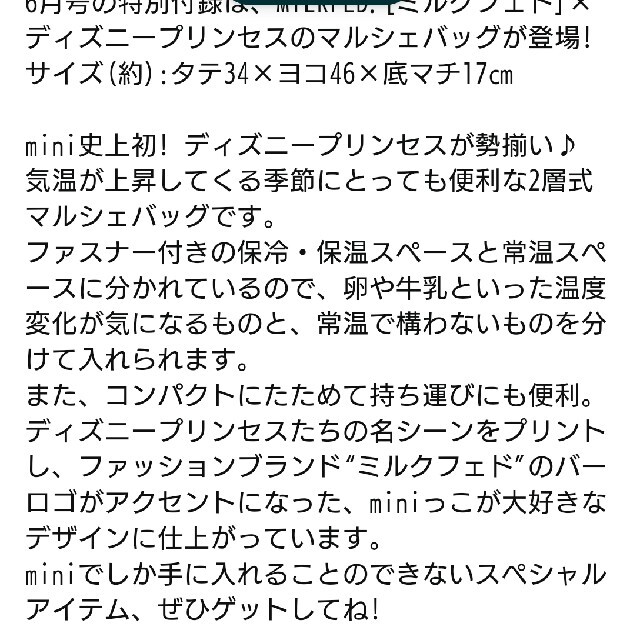 Disney(ディズニー)のミニ付録２セットプリンセス保冷つきマルシェバック エンタメ/ホビーの雑誌(その他)の商品写真