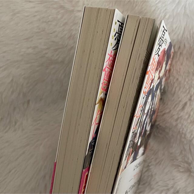 男装騎士の憂鬱な任務 エンタメ/ホビーの本(文学/小説)の商品写真