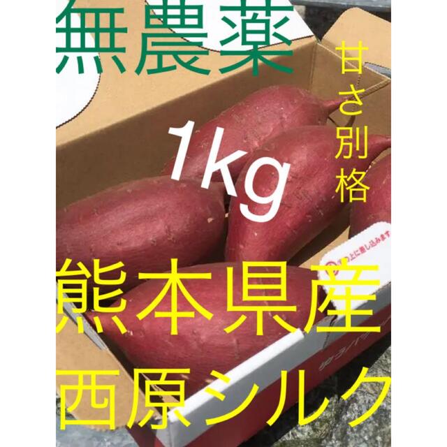 無農薬シルクスイート熊本県産サツマイモ貯蔵180日熟成西原シルク1キロ送料無料M 食品/飲料/酒の食品(野菜)の商品写真