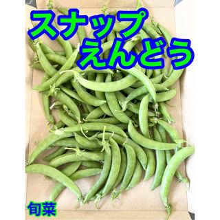 スナップエンドウ  低農薬  約500g  (野菜)