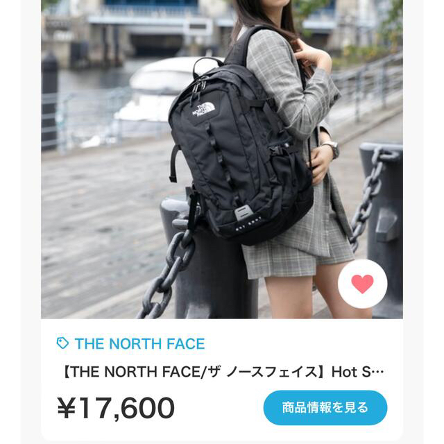 純正 【新品】THE NORTH FACE リュック、バックパック Hot Shot