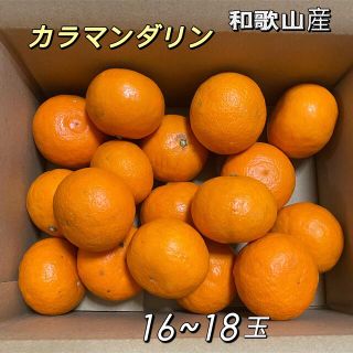 カラマンダリン　和歌山 有田産　16~18玉　約2kg  みかん(フルーツ)