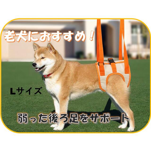 犬　後ろ足用ハーネス　介護　Lサイズ その他のペット用品(犬)の商品写真