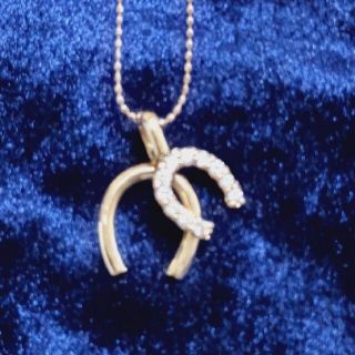 ジュエリーツツミ(JEWELRY TSUTSUMI)のK18 幸せのシンボル 馬蹄のペンダント(ネックレス)