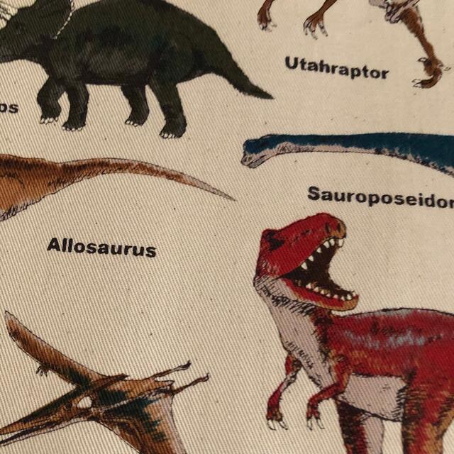 レッスンバッグ　裏地帆布　恐竜　入園入学　男の子　絵本バッグ　ティラノサウルス ハンドメイドのキッズ/ベビー(外出用品)の商品写真