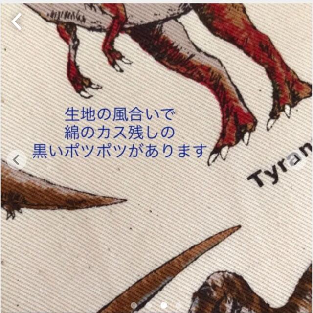 レッスンバッグ　裏地帆布　恐竜　入園入学　男の子　絵本バッグ　ティラノサウルス ハンドメイドのキッズ/ベビー(外出用品)の商品写真