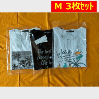 お買い得品！　半袖綿Tシャツ　3枚セット　レディース　タグ付き新品　　(Tシャツ(半袖/袖なし))