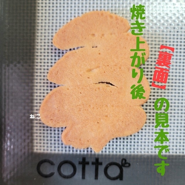 一部予約販売】 cotta シルパット 240 × 360 mm １枚 コッタ