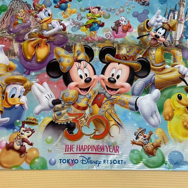 Disney(ディズニー)の東京ディズニーリゾート 30周年 有料ジョッパーズ エンタメ/ホビーのおもちゃ/ぬいぐるみ(キャラクターグッズ)の商品写真