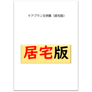 （居宅版）ケアプラン文例・記入例　(その他)