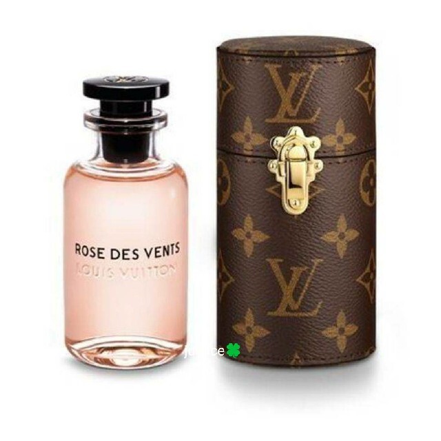 LOUIS VUITTON(ルイヴィトン)の非常に入手困難‼️正規【日本完売 LVトラベルケース】 レディースのバッグ(その他)の商品写真