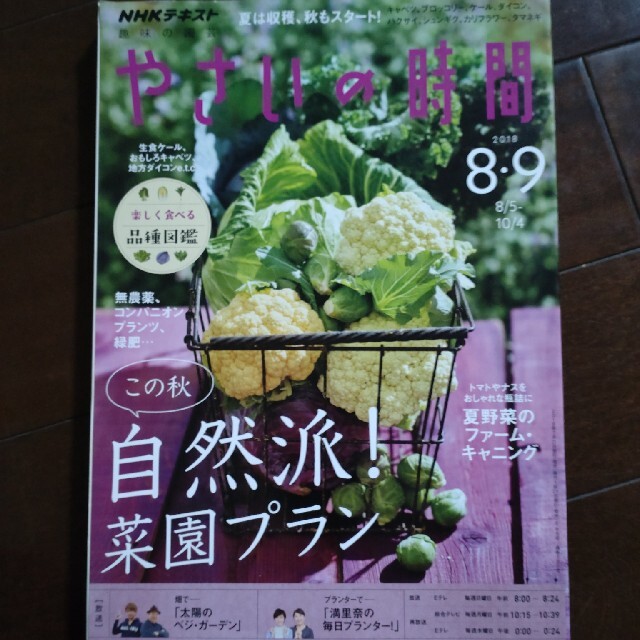 人気大割引 やさいの時間 8月 9月最新号