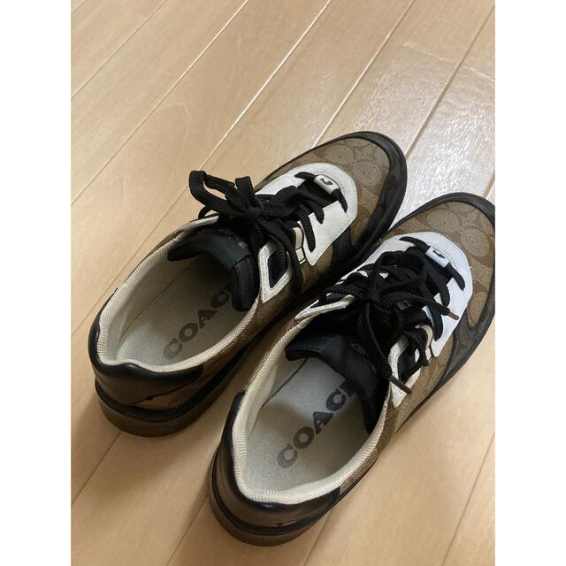 coachスニーカー メンズ 靴/シューズ druidhillseyecare.com