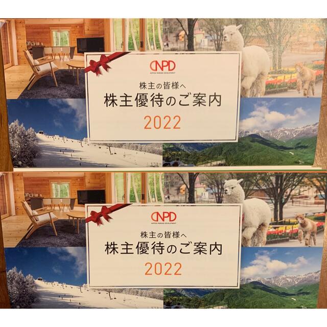 日本駐車場開発☆株主優待☆2冊☆最新☆2022 チケットの施設利用券(スキー場)の商品写真