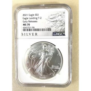 アメリカンイーグル 美術品/アンティークの通販 54点 | American Eagle