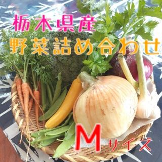 野菜おまかせ詰め合わせBOX【M】(パン)