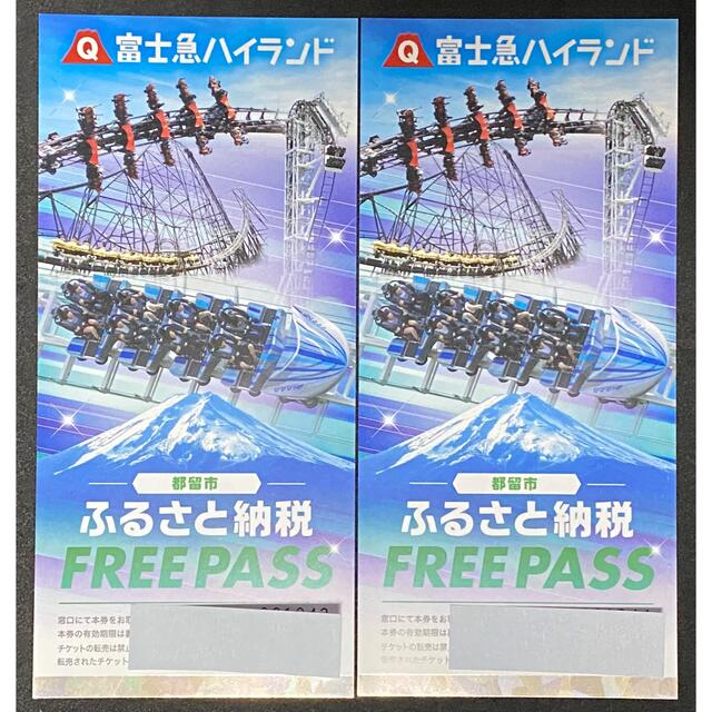 富士急ハイランド フリーパスチケット 2枚 22.6.30まで有効