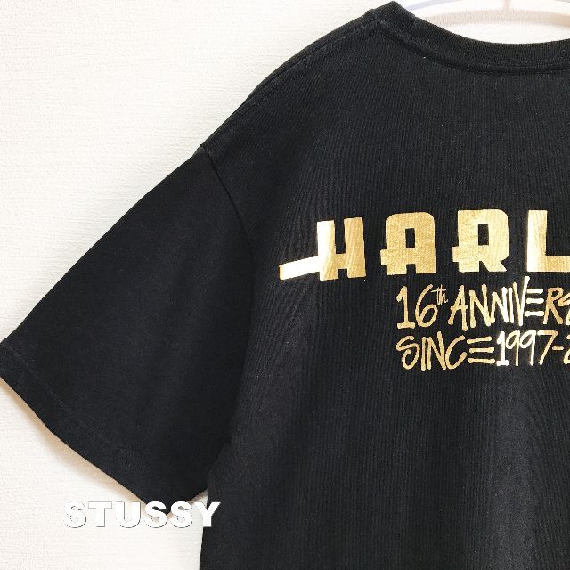 STUSSY(ステューシー)の【STUSSY】ステューシー WORLD TOUR HARLEM Tシャツ メンズのトップス(Tシャツ/カットソー(半袖/袖なし))の商品写真