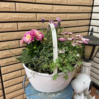 ナチュラルな寄せ植え♡母の日ギフト(プランター)