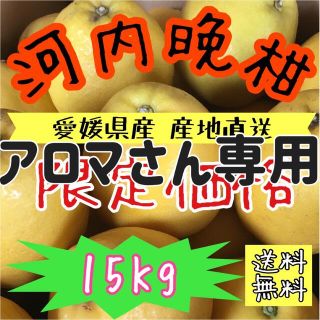 【愛媛産】《訳あり》みかん柑橘ミカンかわちばんかん《河内晩柑》(フルーツ)