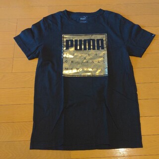 プーマ(PUMA)のPUMA　ティシャツ(Tシャツ/カットソー(半袖/袖なし))