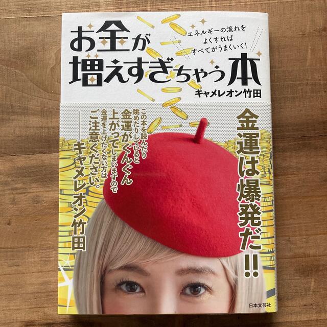 お金が増えすぎちゃう本 エネルギーの流れをよくすればすべてがうまくいく！ エンタメ/ホビーの本(住まい/暮らし/子育て)の商品写真