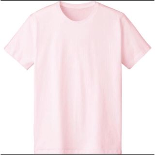 【sunスケ様専用】4.6オンス FINE FIT Tシャツ　DM501(Tシャツ/カットソー(半袖/袖なし))